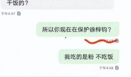 吃瓜炸裂聊天记录视频